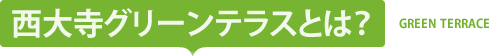 西大寺グリーンテラスとは？